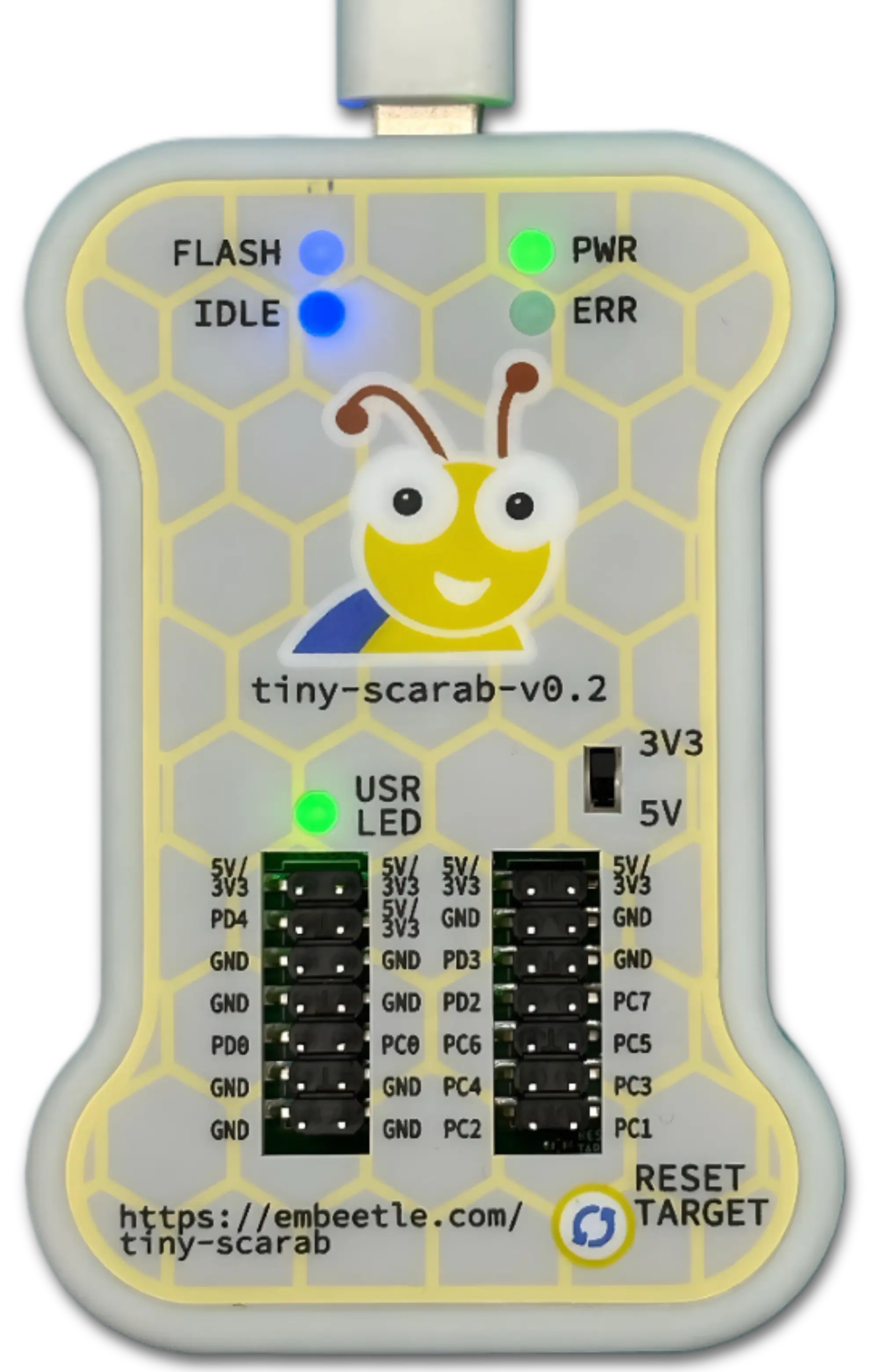beetle_board_01.png