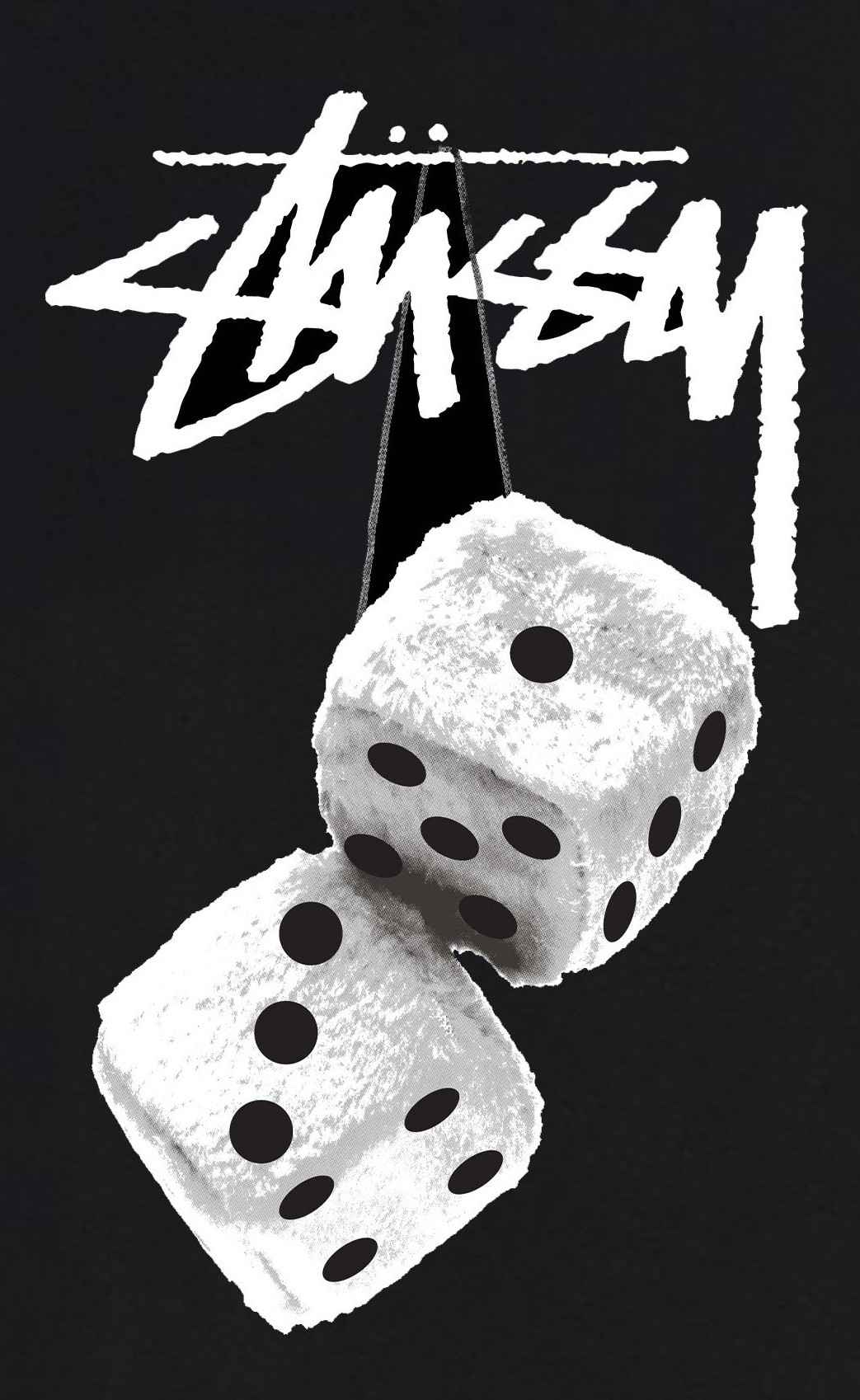 stussy-fuzzy-dice-t-shirt-black-1904765-blk_0001_1-6413948792.jpg