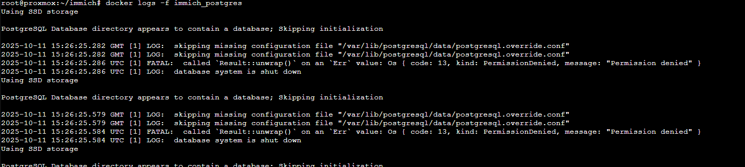 immich_postgres.PNG