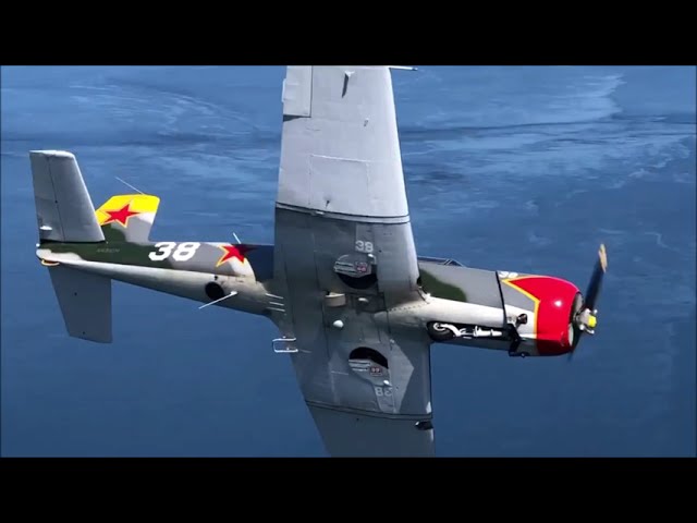 Warbird Aerobatic and tail chase