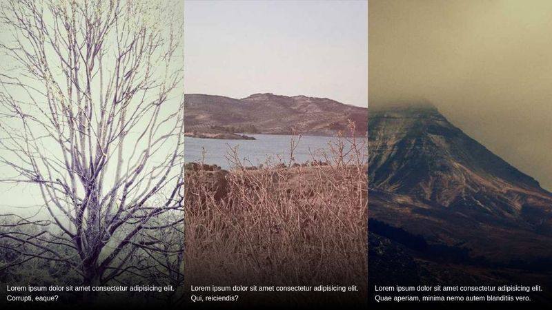 Cards with gradient captions