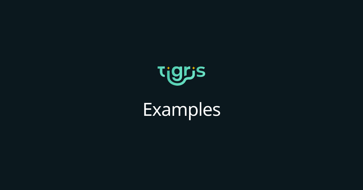 Examples | Tigris Object Storage Documentation